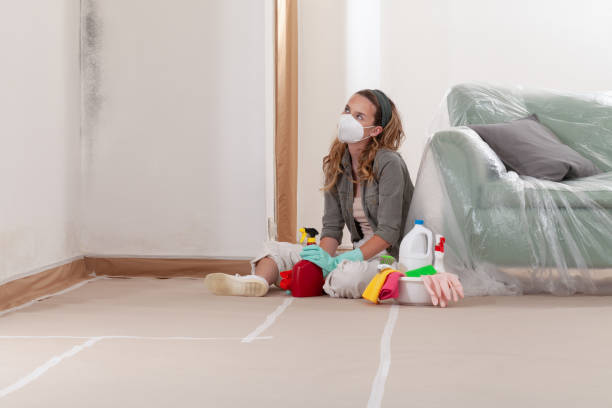 Reliable Mold Remediation contractor in Midland Park, NJ by 24 Hour Mold Removal